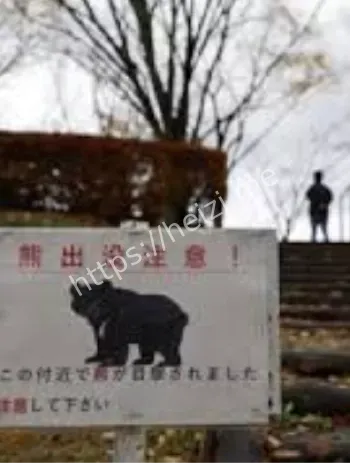 日本全职猎人转型